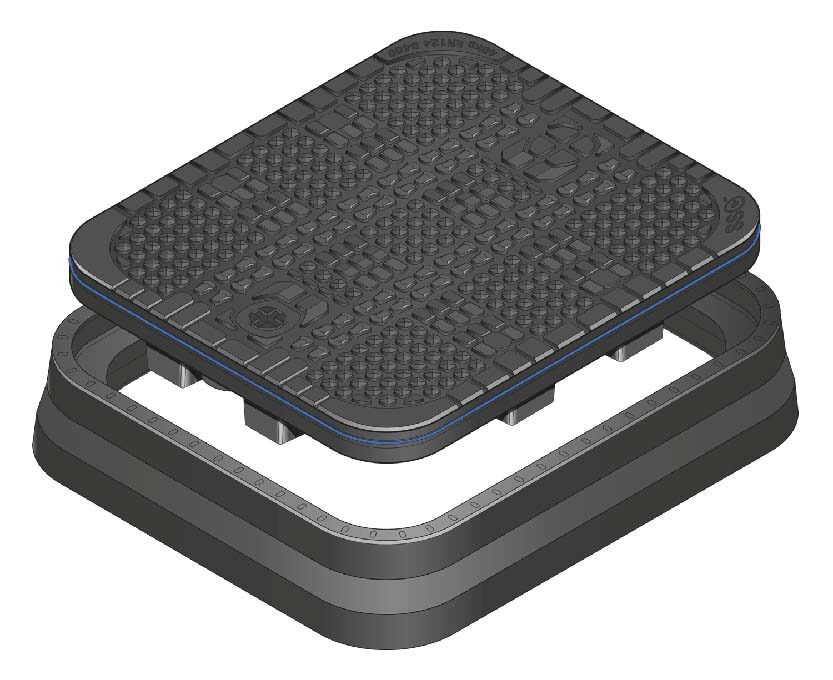 DM6